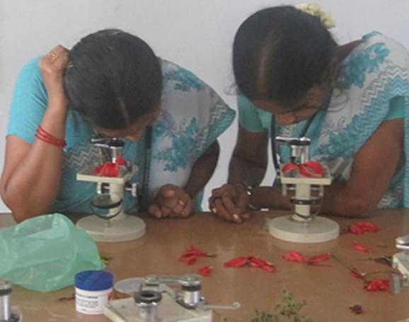 Sri R Ponnusamy Naidu College of Education for Women Virudhunagar Campus photo 7